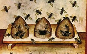 A méz történelme!